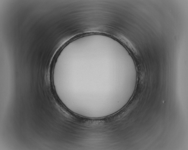 X0000111950884200908171315