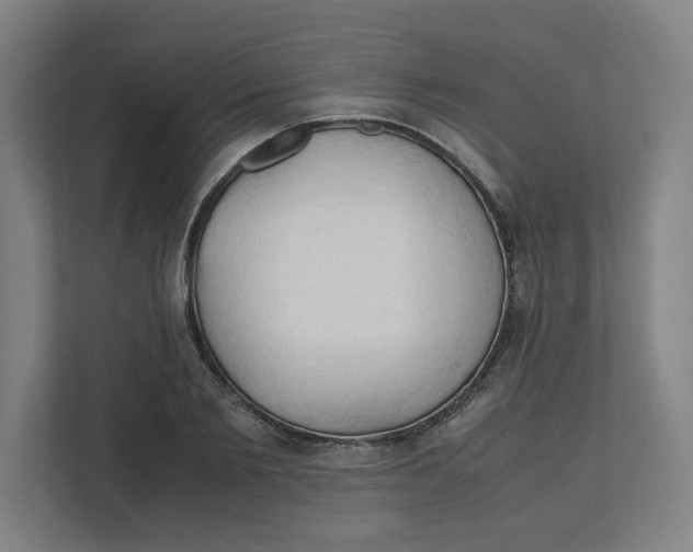 X0000111950885200908171315