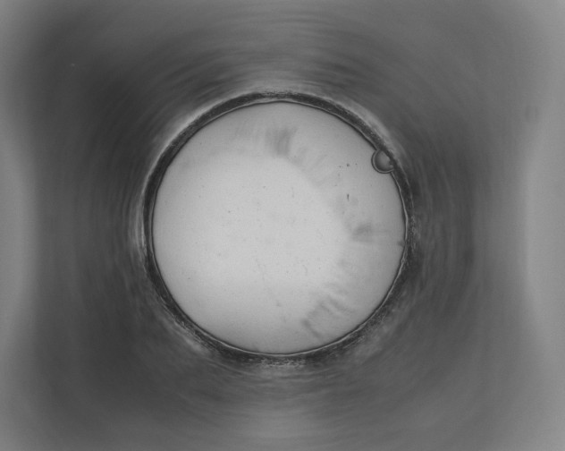 X0000111950887200908171315