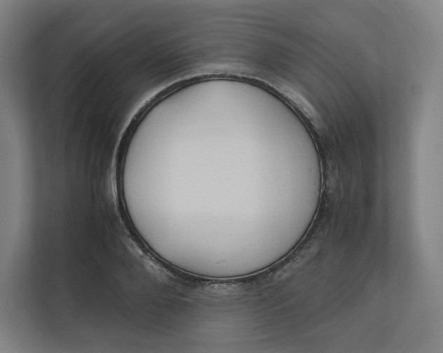 X0000111950888200908171315