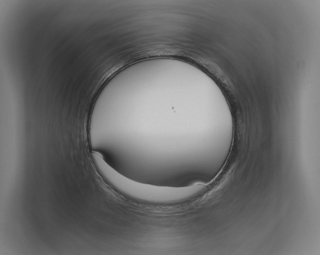 X0000111950889200908171315