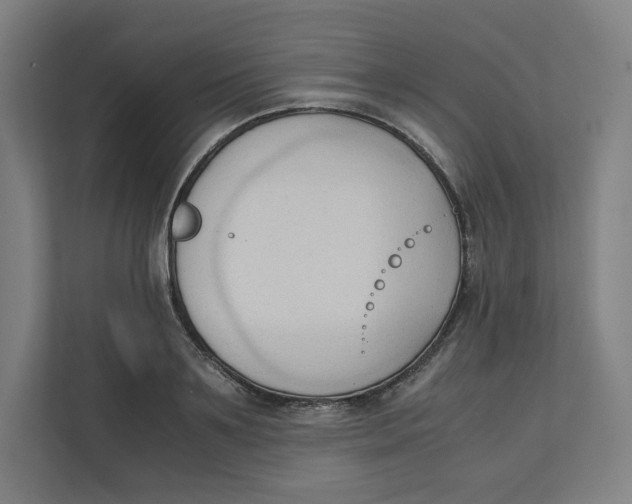 X0000111950891200908171315