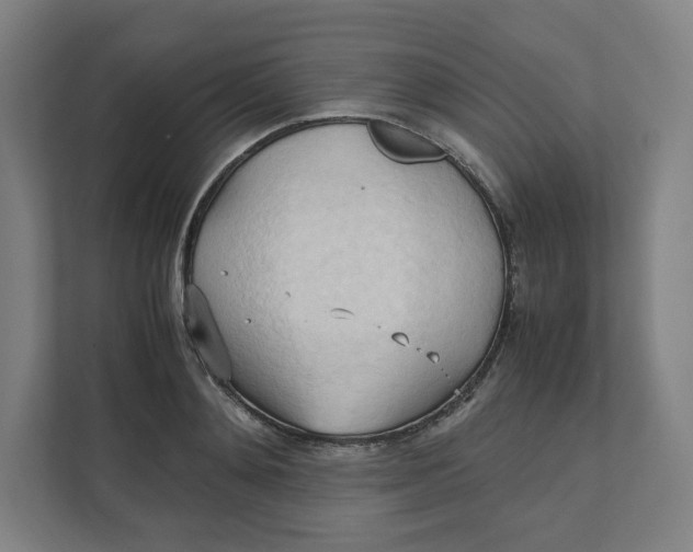 X0000111950892200908171315