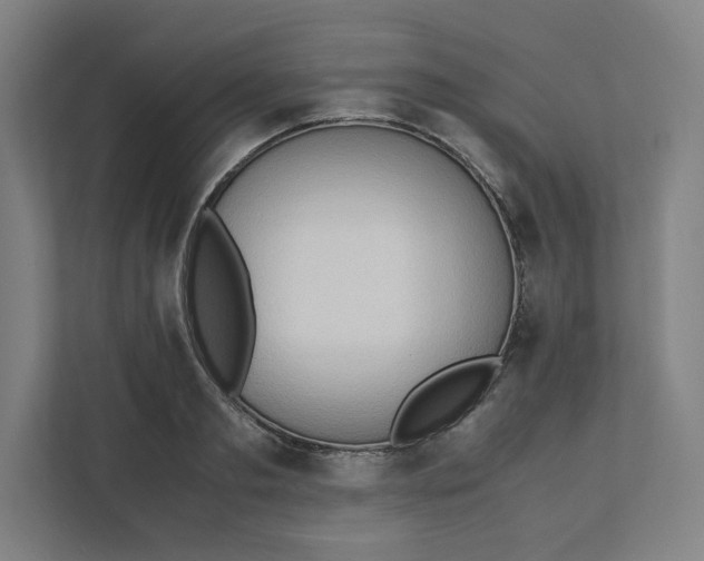 X0000111950893200908171315