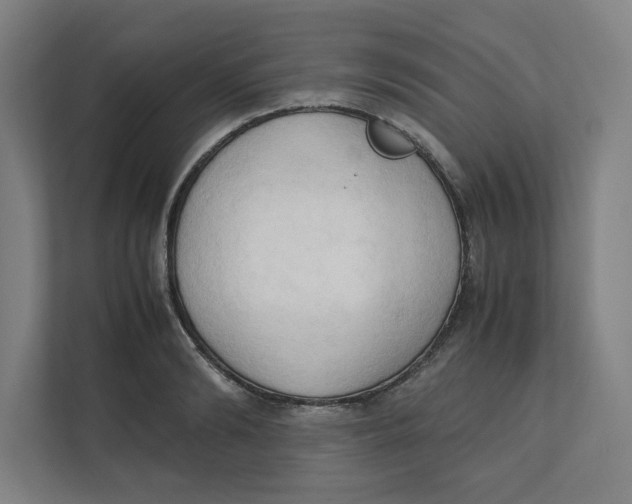 X0000111950894200908171315