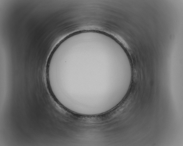 X0000111950895200908171315