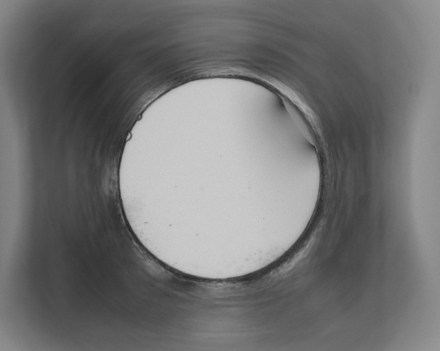 X0000111950897200908171315