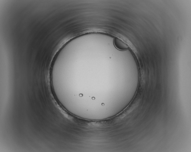 X0000111950898200908171315