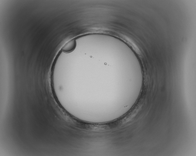 X0000111950899200908171315