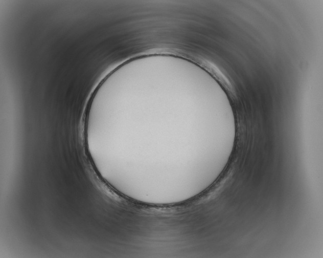 X0000111950900200908171315