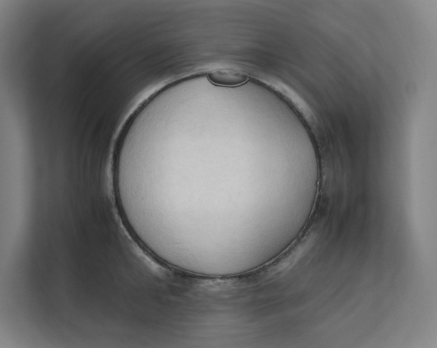 X0000111950902200908171315