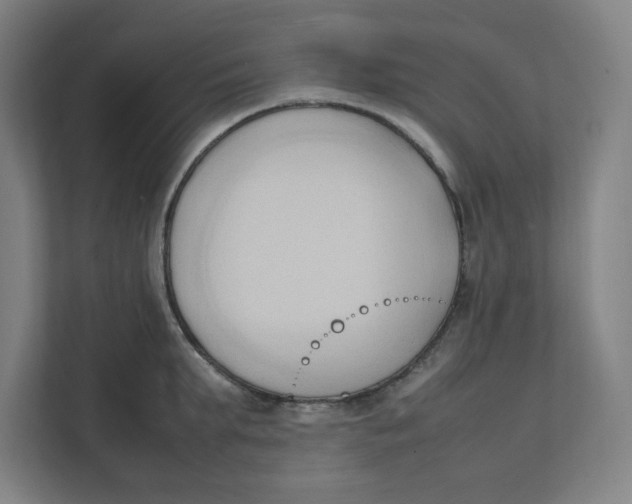 X0000111950903200908171315