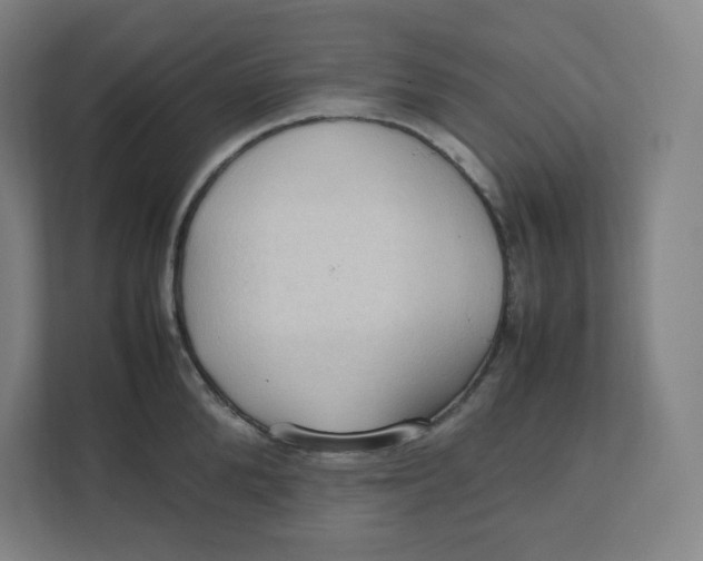 X0000111950904200908171315