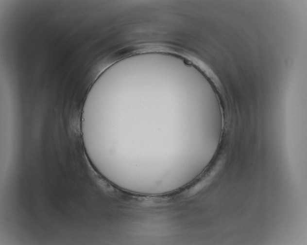 X0000111950905200908171315