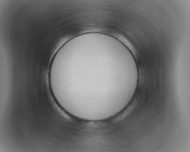 X0000111950906200908171315