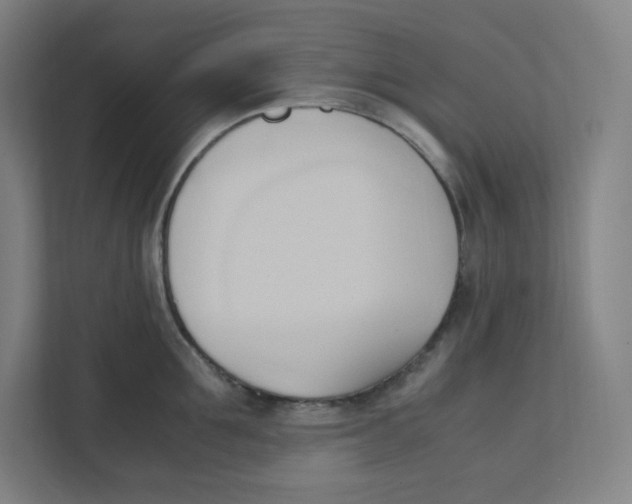 X0000111950907200908171315