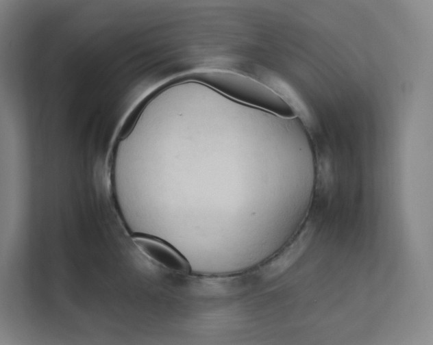 X0000111950908200908171315