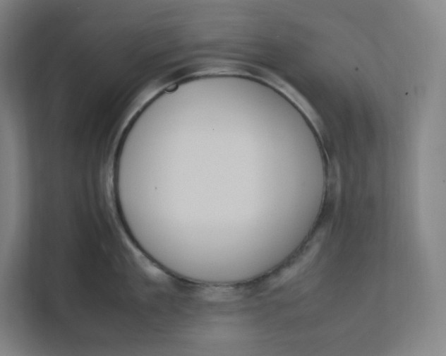 X0000111950909200908171315