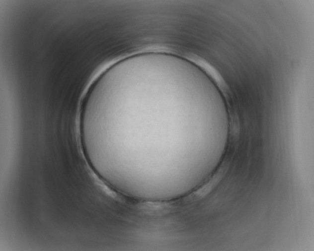 X0000111950910200908171315