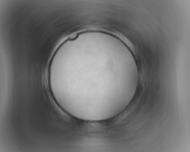 X0000111950911200908171315