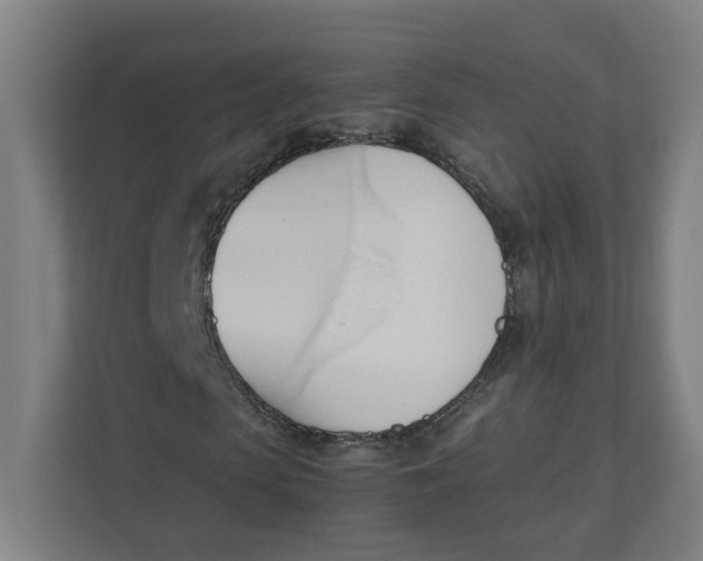 X0000111950913200908171314