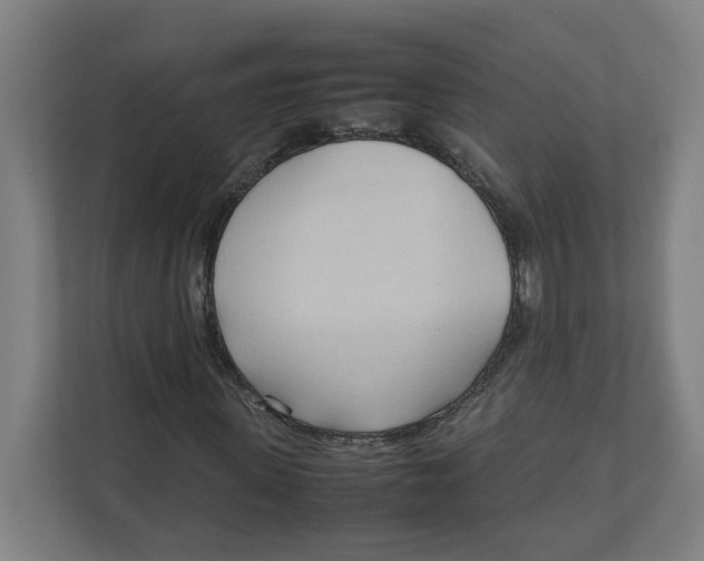 X0000111950915200908171314