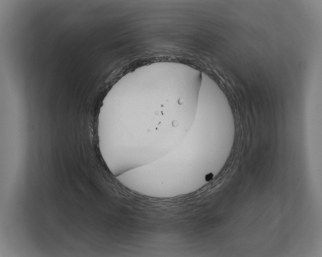 X0000111950916200908171314