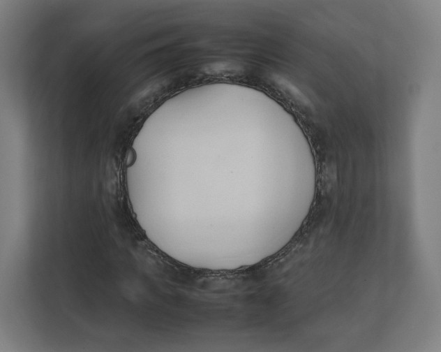 X0000111950917200908171314