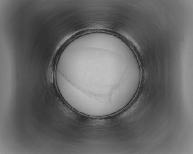 X0000111950925200908171314