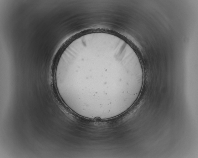 X0000111950927200908171314