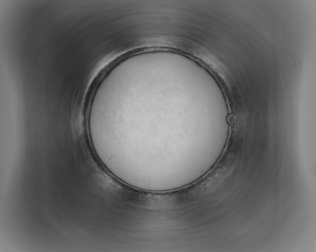 X0000111950928200908171315