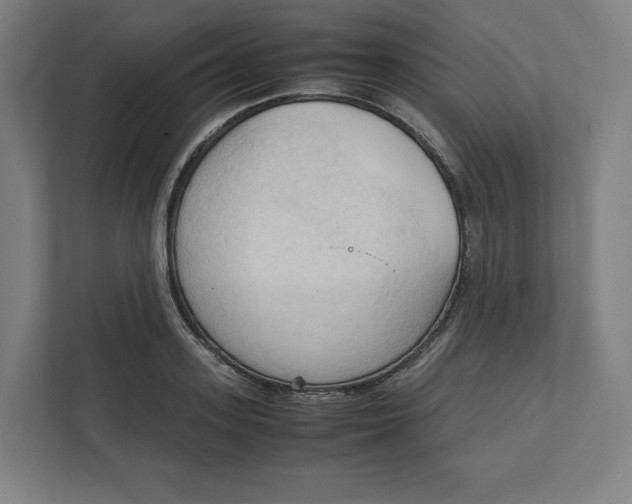 X0000111950939200908171315