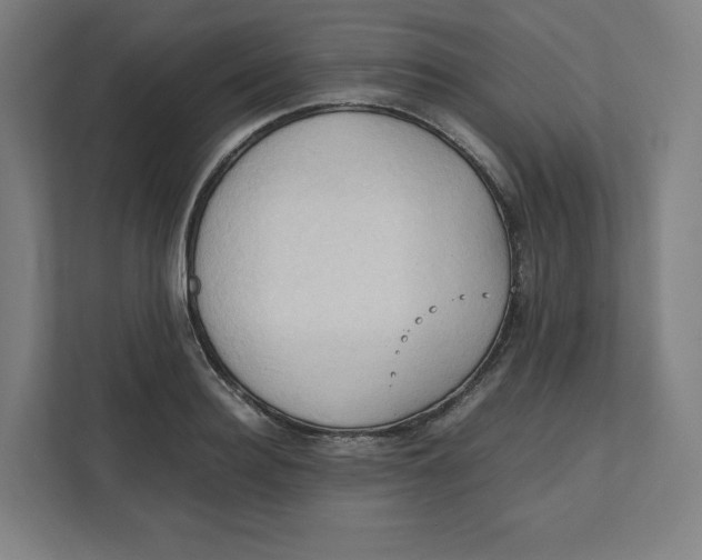 X0000111950940200908171315