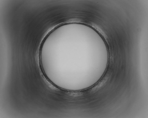 X0000111950941200908171315