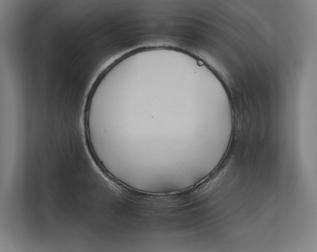 X0000111950943200908171315