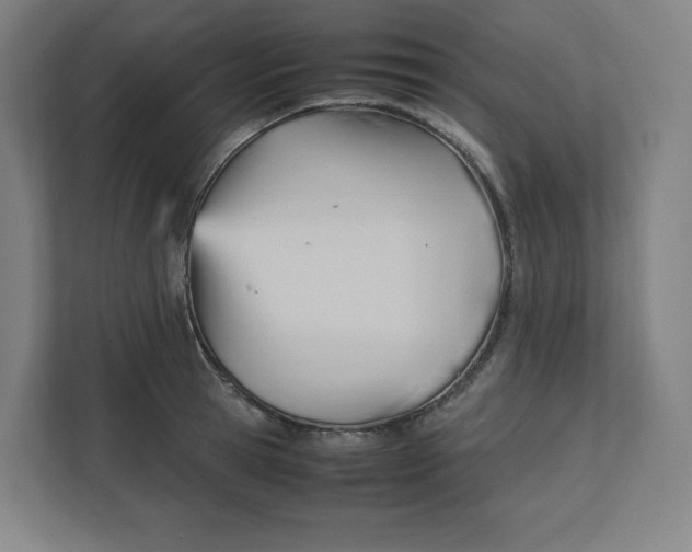 X0000111950945200908171315