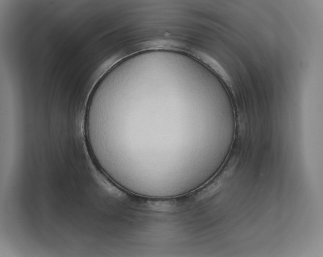 X0000111950946200908171315