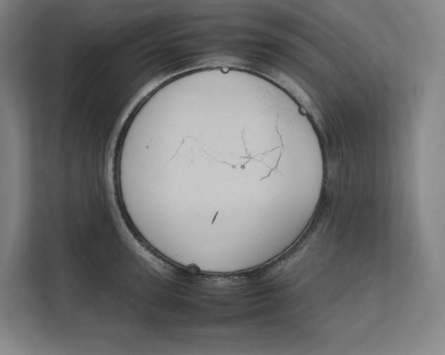 X0000111950947200908171315