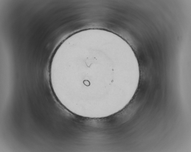 X0000111950950200908171315