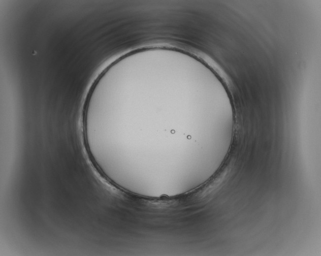 X0000111950951200908171315