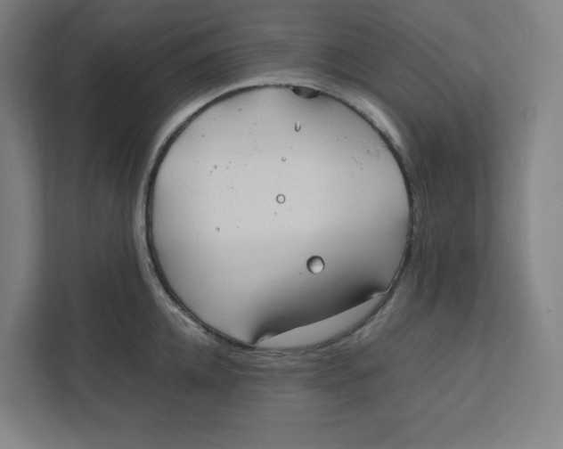 X0000111950952200908171315