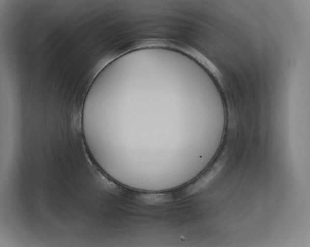 X0000111950953200908171315