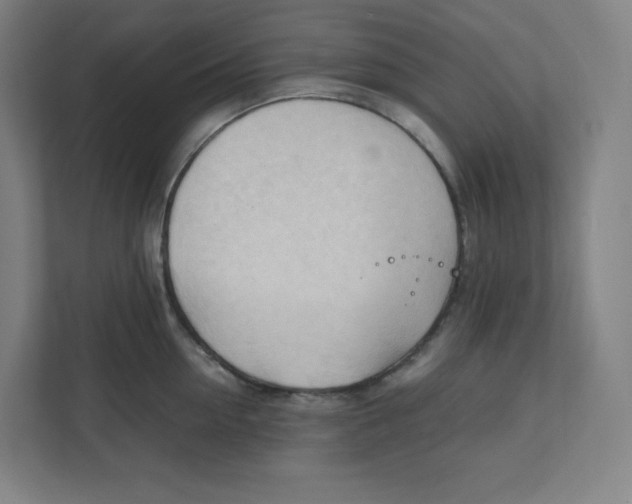 X0000111950954200908171315