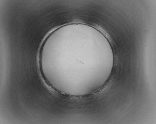 X0000111950955200908171315