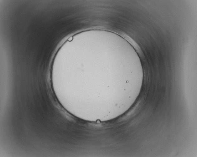 X0000111950956200908171315