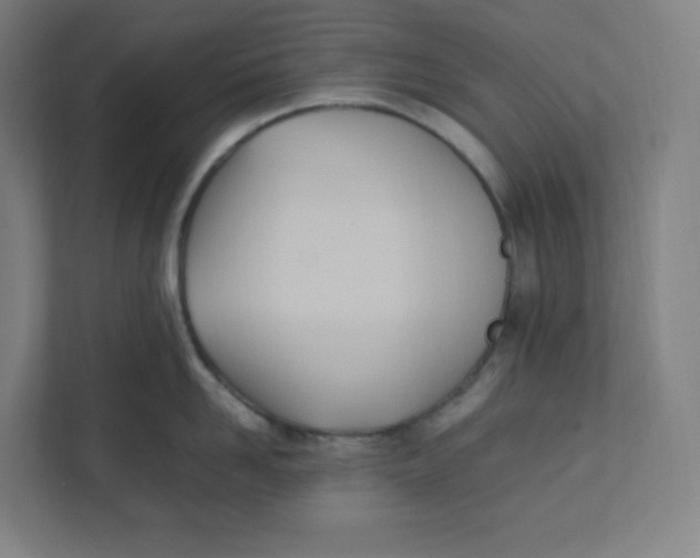 X0000111950958200908171315