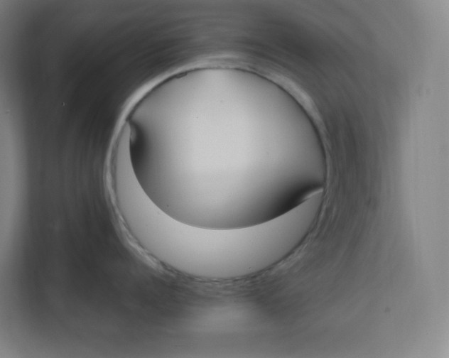 X0000111950960200908171315