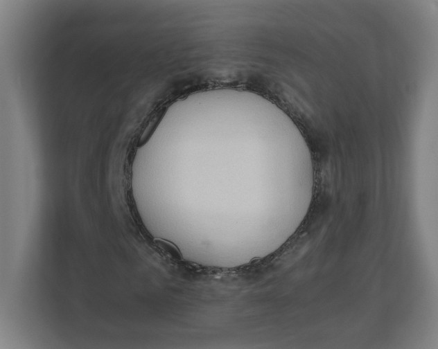 X0000111950961200908171314