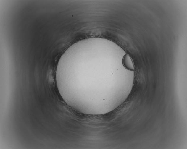 X0000111950962200908171314