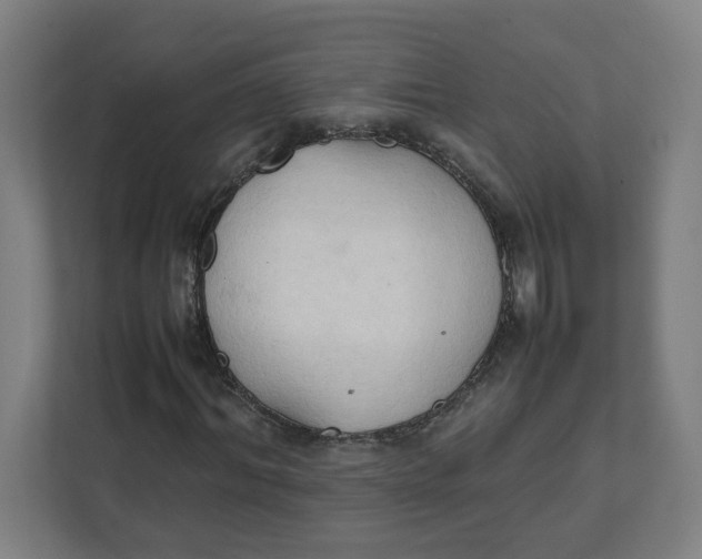 X0000111950964200908171314